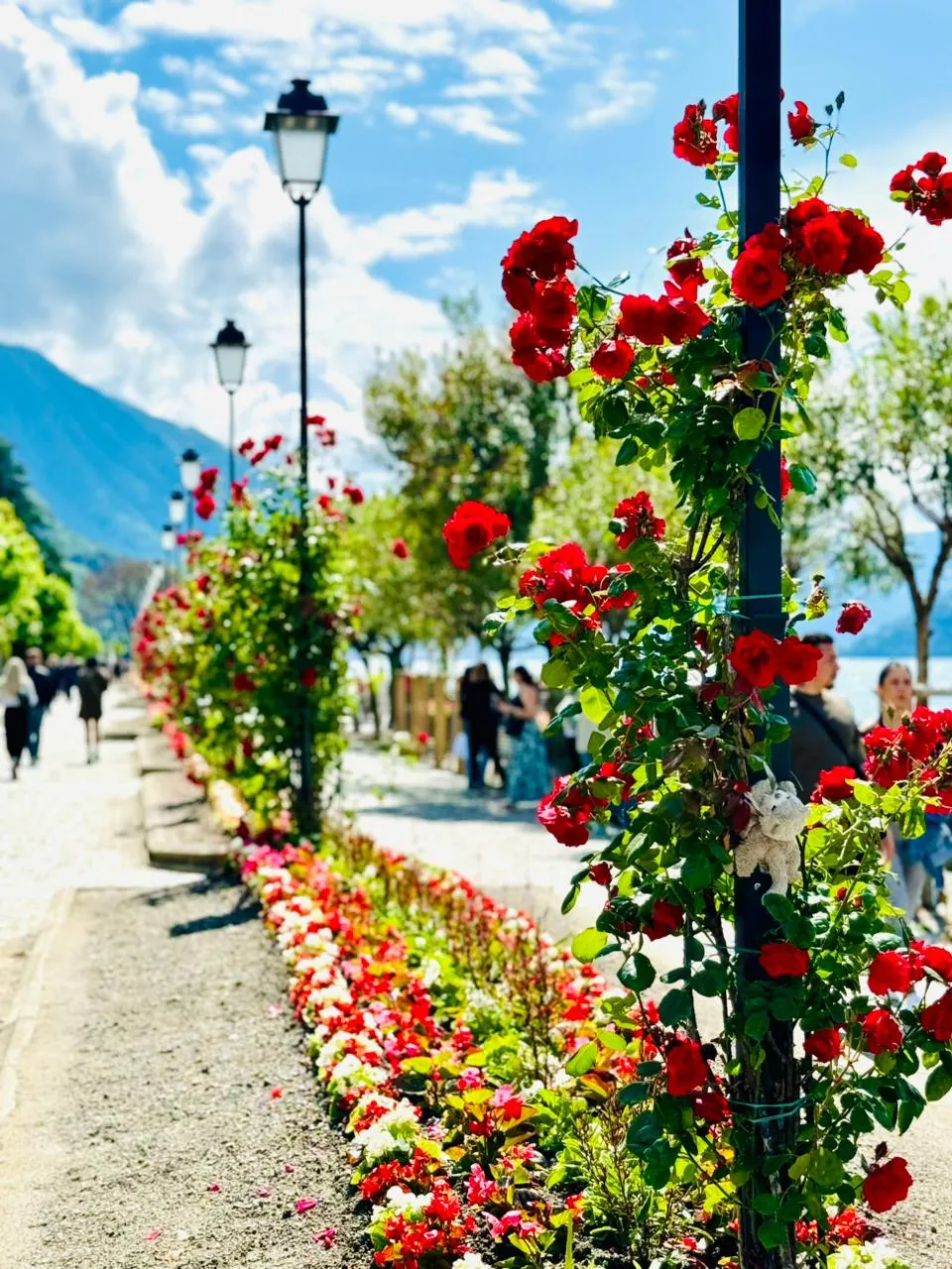 Bellagio photo 12