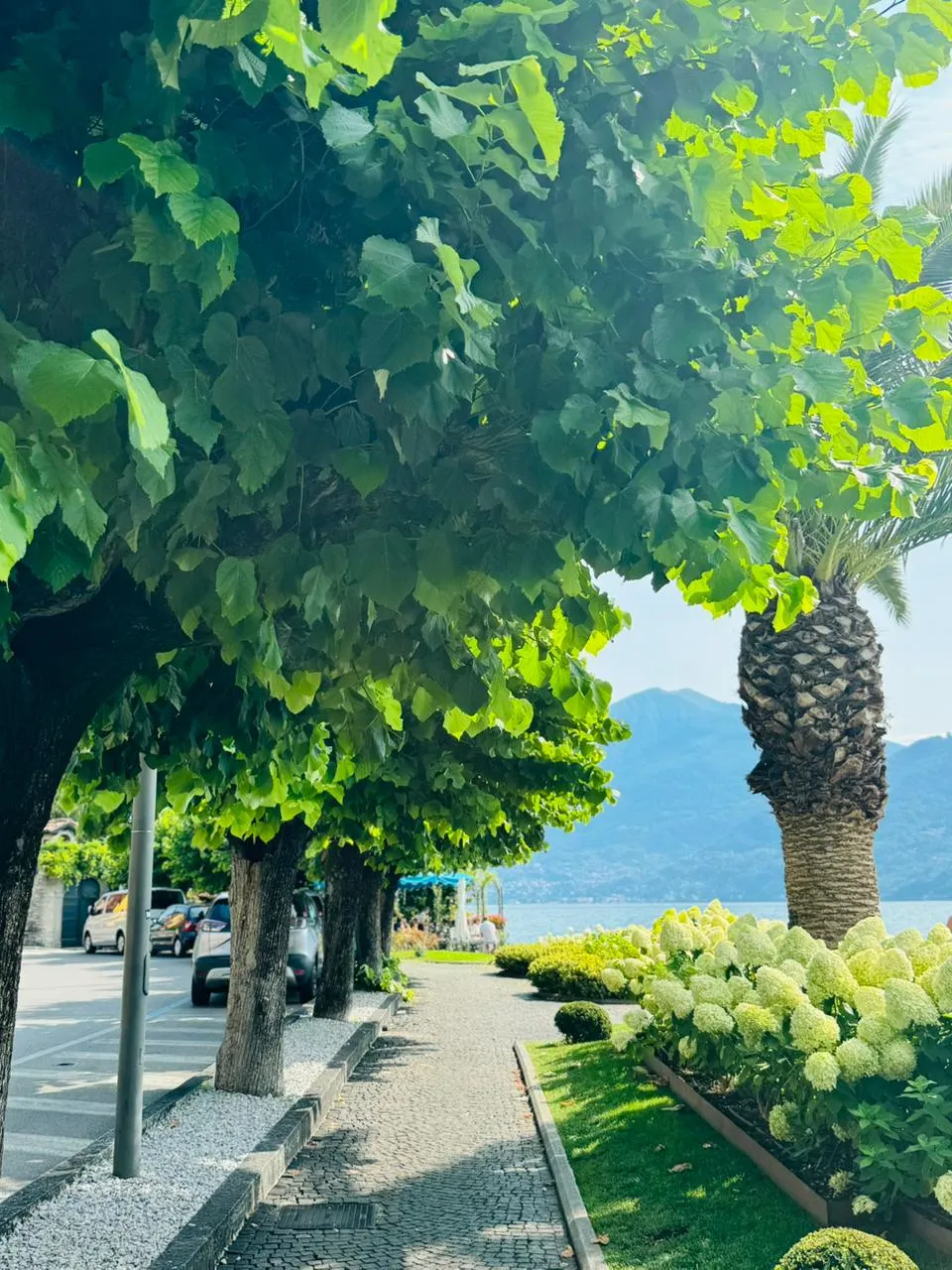 Menaggio photo 19